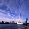 Erasmus Bridge Rotterdam by UNStudio Architects