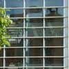Curtain Wall Architectural Glazing