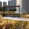 Nathan Phillips Square Podium Green Roof