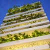 Stacking Green Ho Chi Minh city House Home Vietnamese Residence