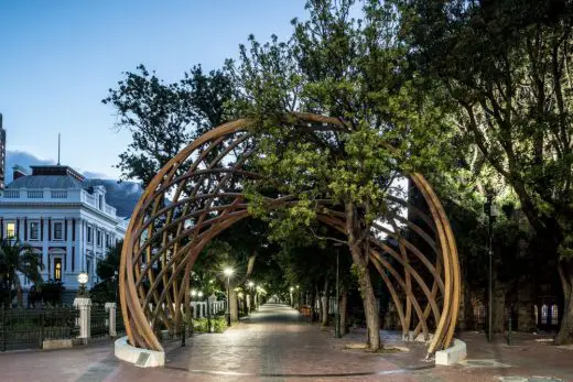 The Arch for Arch in Cape Town