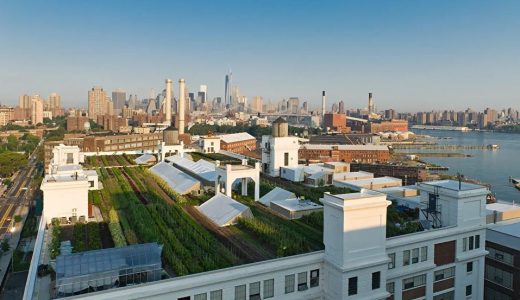 Green rooftops to be new normal